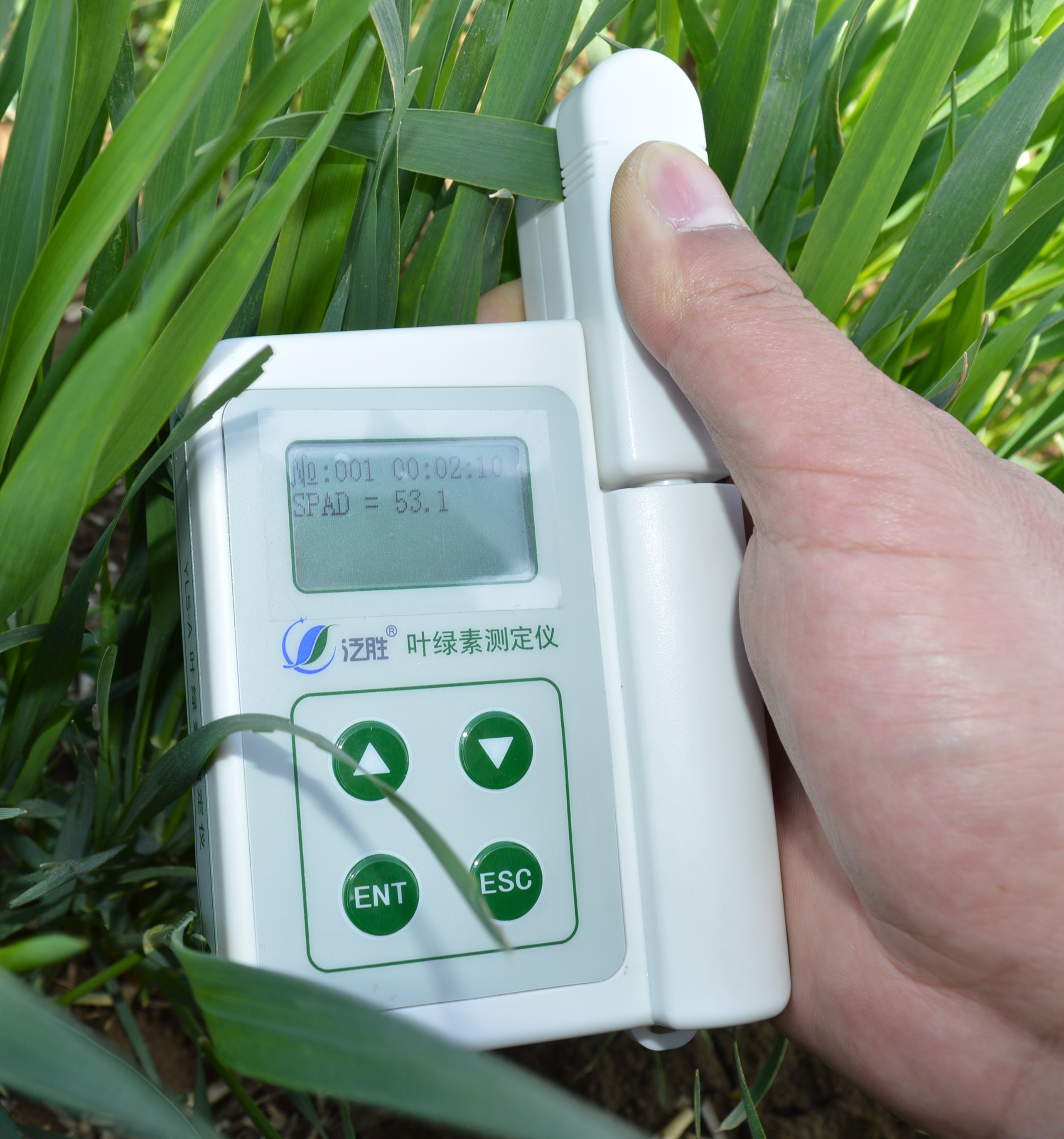 1728528047176179.jpg 泛勝葉綠素儀4.jpg